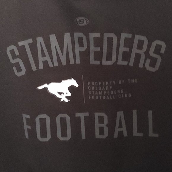 Calgary Stampeders CFL Club Logo Hoodie - Black - Picture 5 of 6